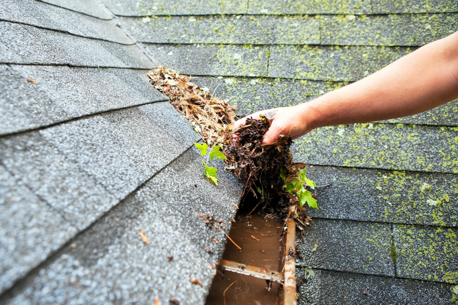 Hand Cleaning Copper Rain Gutter seamless gutter installation
