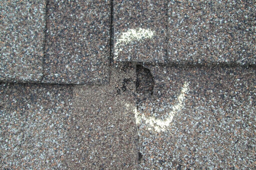 Roof Shingle Hail Damage