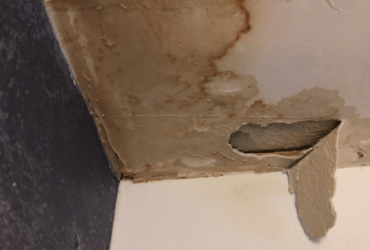 Rotting in Ceiling Corner