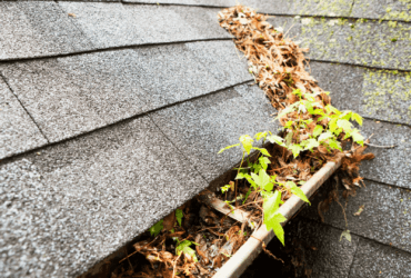 Clogged and Dirty Copper Rain Gutter