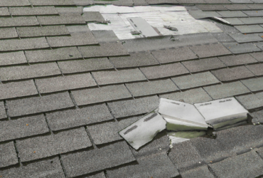 Roof Shingle Hail Damage