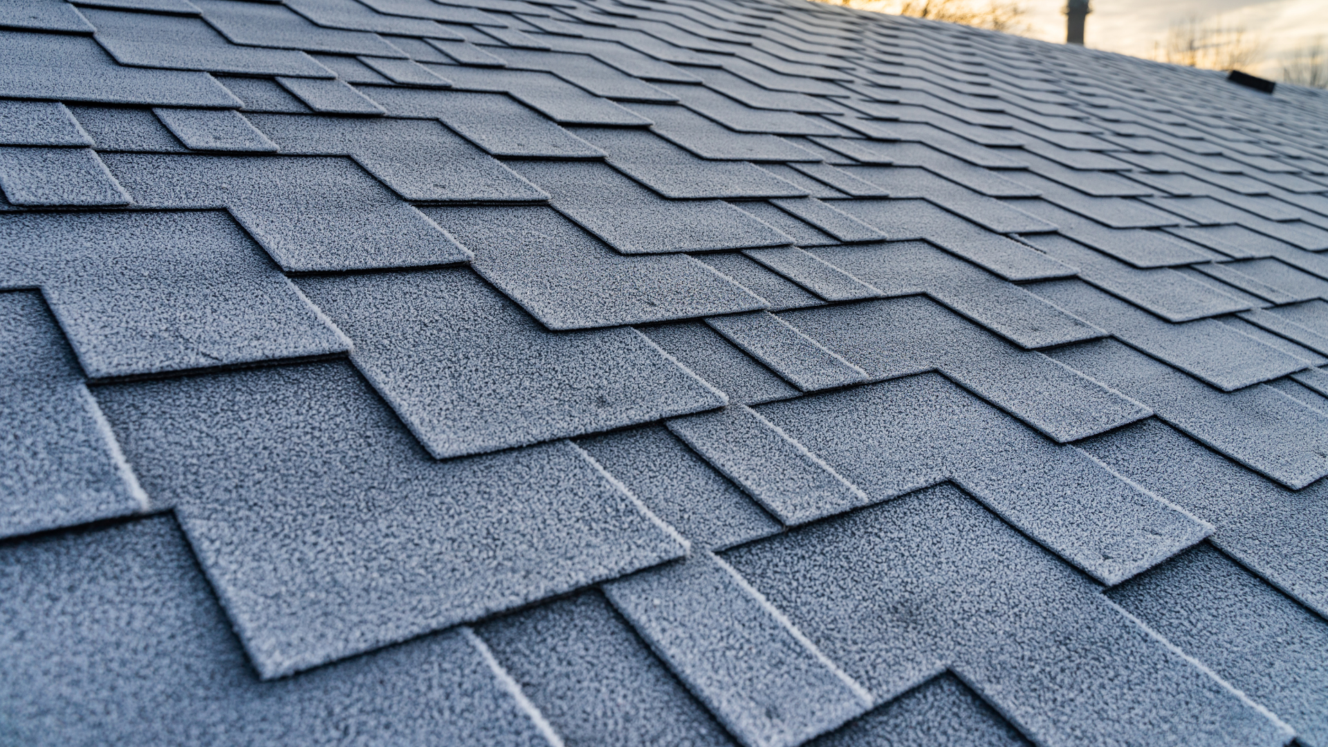 Commercial Shingle Roofs