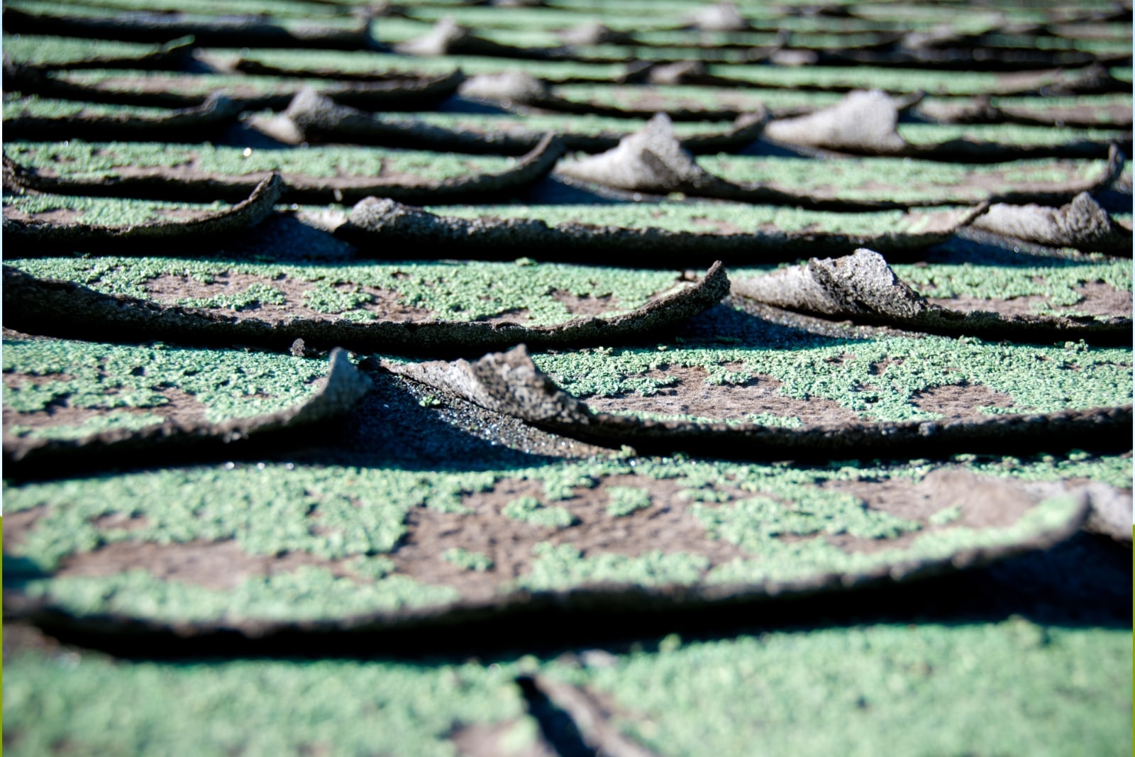 Fortified roof shingles installed on a North Alabama home