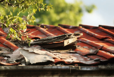 Damaged Glutter roofing