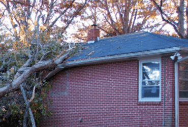 Tree fallen on house roof requiring emergency roof repair in Huntsville AL