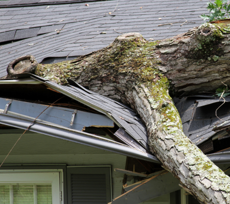 Storm damage