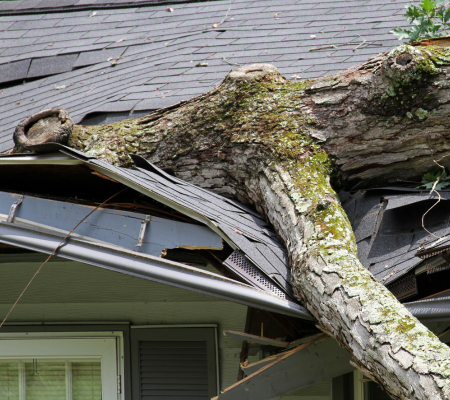 Storm damage Insurance Claim