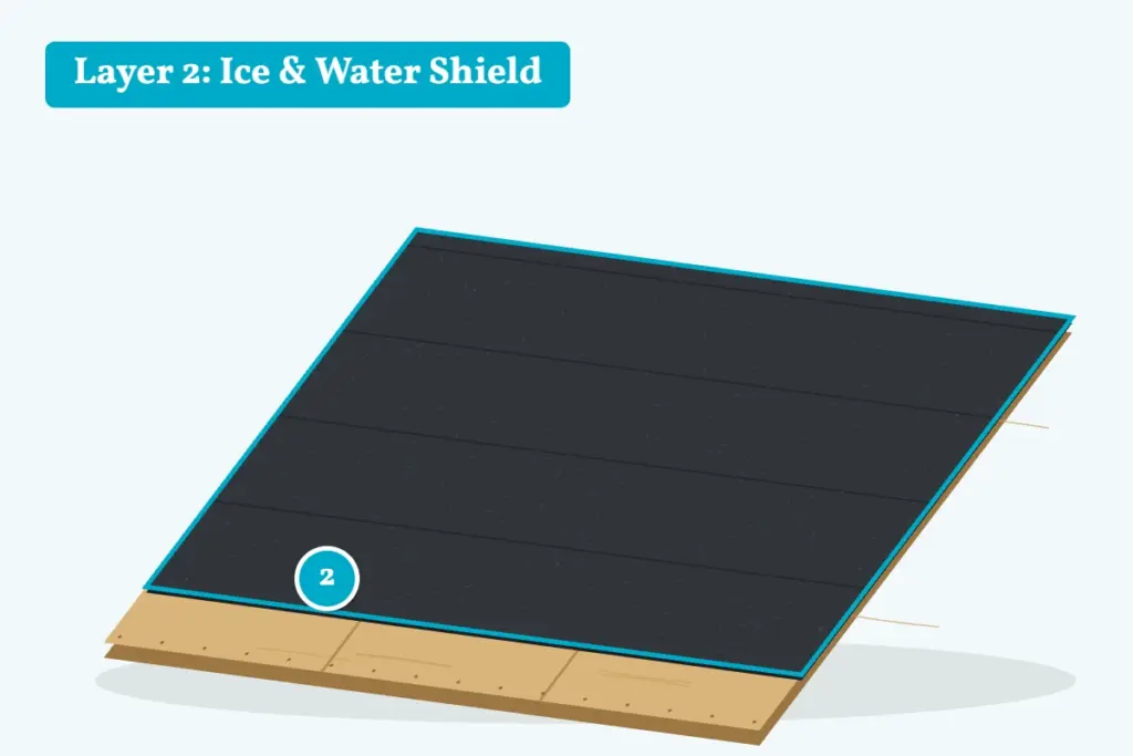 Shingle roof system cutaway showing layer 2, ice and water shield installed over the roof deck at the eave