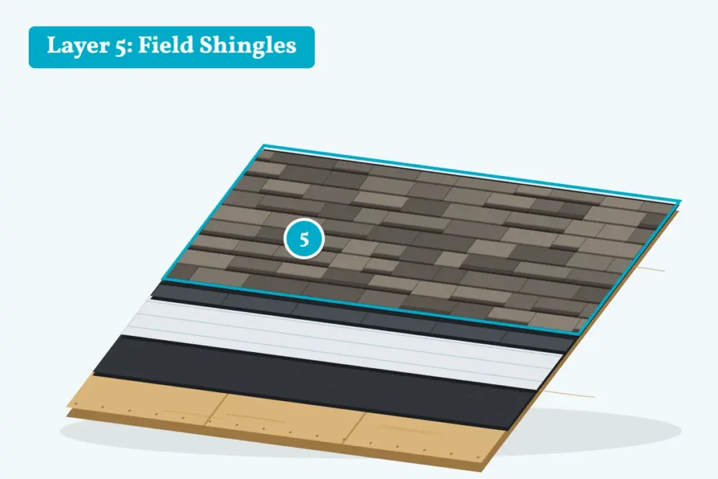 Shingle roof system cutaway showing layer 5, architectural field shingles installed in a staggered pattern