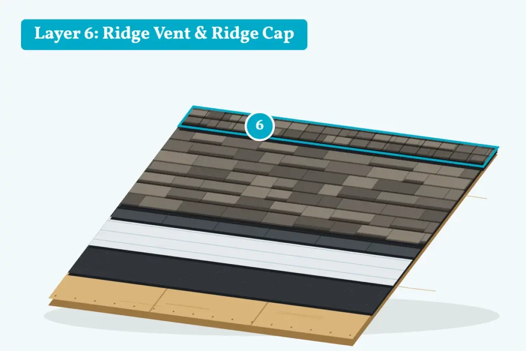 Complete shingle roof system cutaway showing layer 6, the ridge vent and ridge cap shingles at the peak